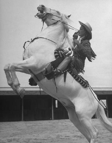 [cowgirl[2].jpg]
